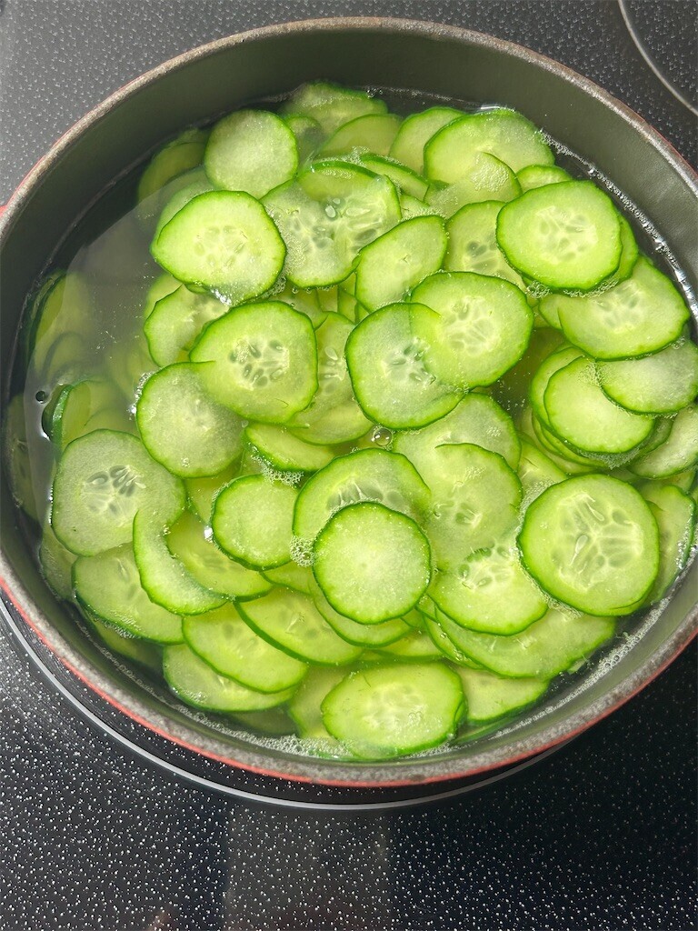 f:id:Magnoliarida:20230825083018j:image f:id:Magnoliarida:20230825083018j:image