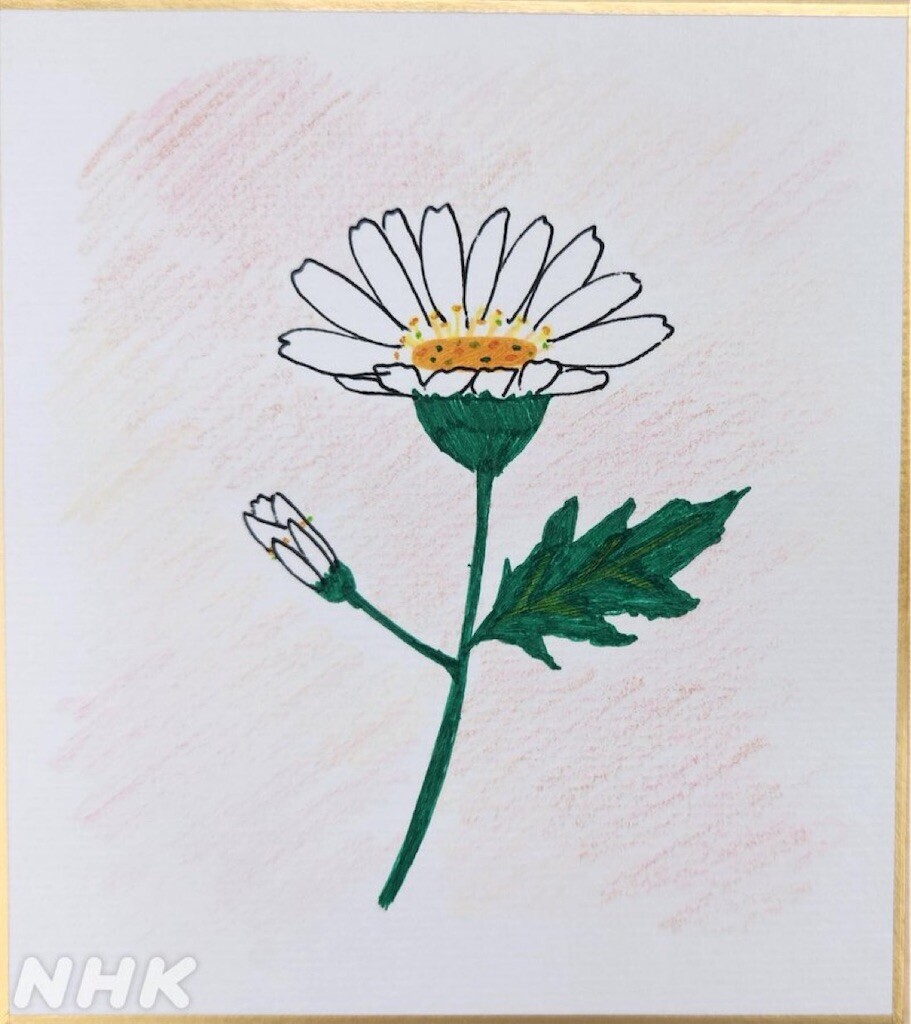 f:id:Magnoliarida:20230825111529j:image f:id:Magnoliarida:20230825111529j:image