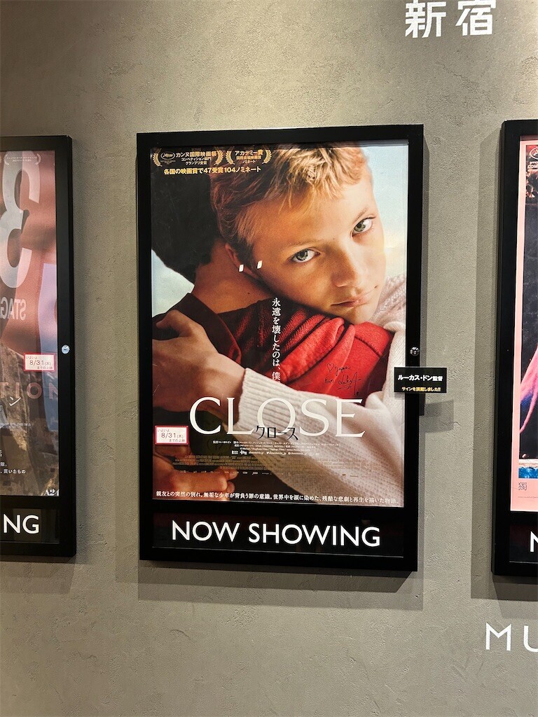 f:id:Magnoliarida:20230826232405j:image