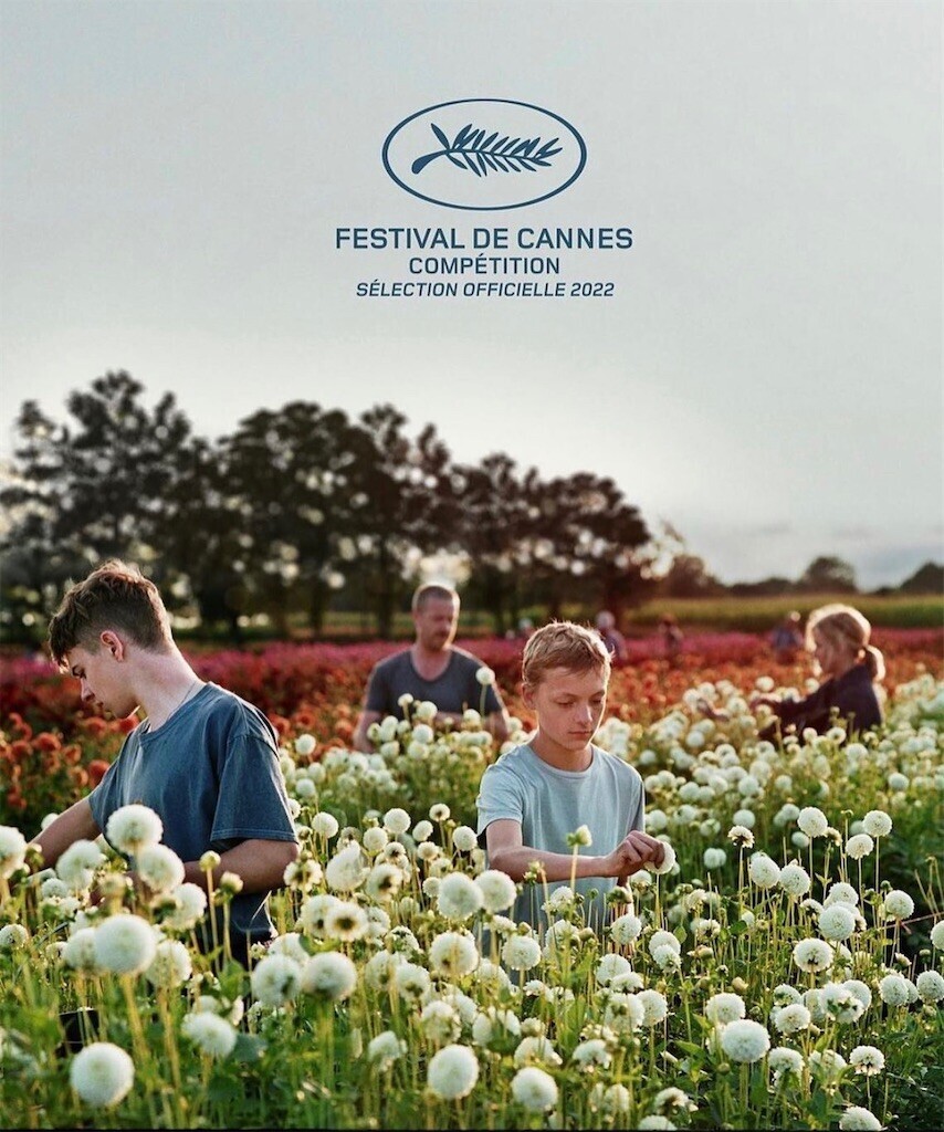 f:id:Magnoliarida:20230826232425j:image