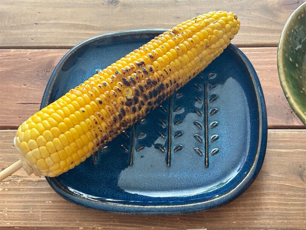 f:id:Magnoliarida:20230828084922j:image f:id:Magnoliarida:20230828084922j:image