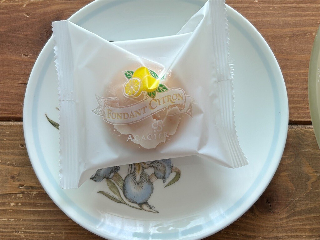 f:id:Magnoliarida:20230903090647j:image