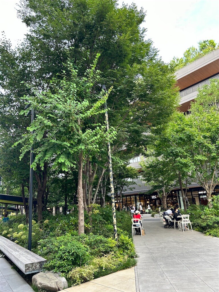f:id:Magnoliarida:20230904150319j:image