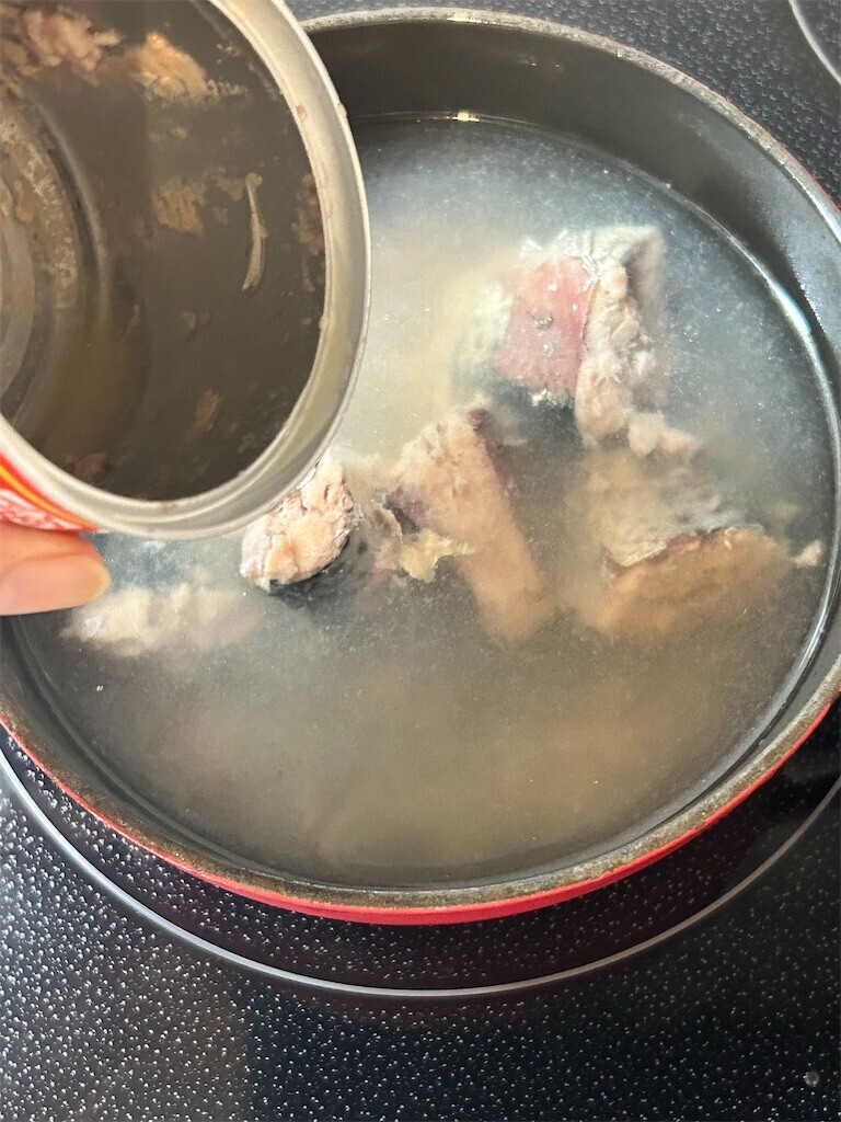 f:id:Magnoliarida:20230905085220j:image f:id:Magnoliarida:20230905085220j:image