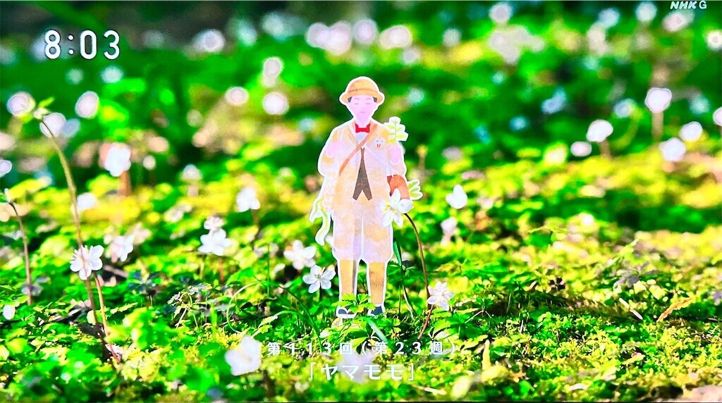 f:id:Magnoliarida:20230906215128j:image f:id:Magnoliarida:20230906215128j:image