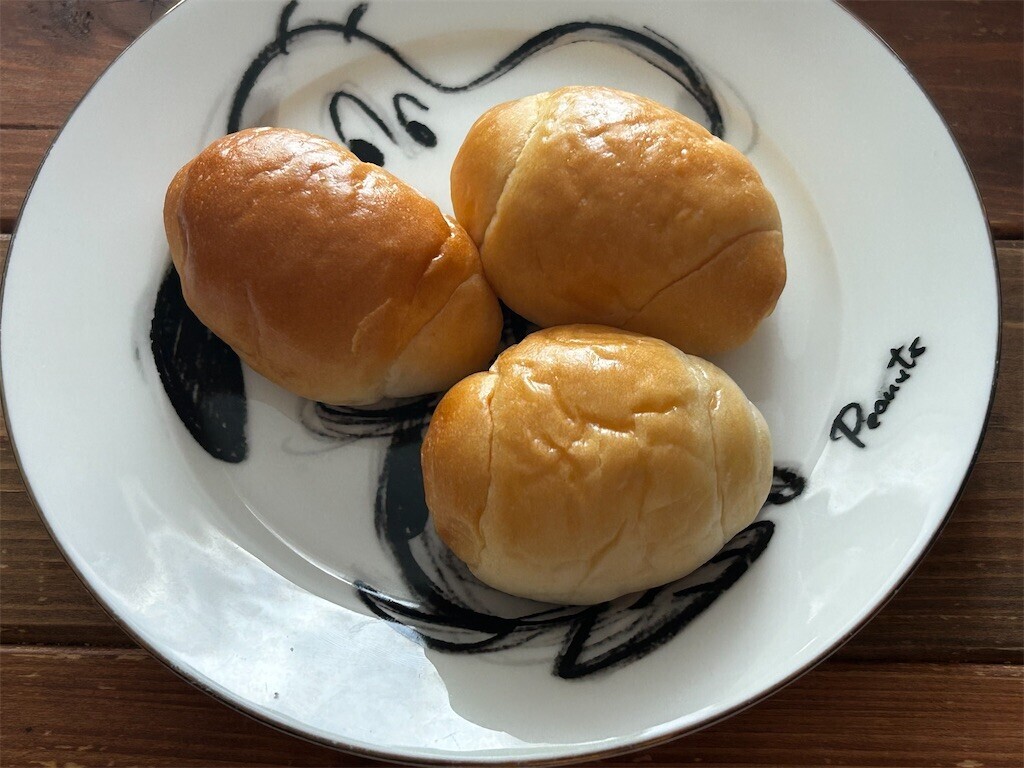 f:id:Magnoliarida:20230911072754j:image