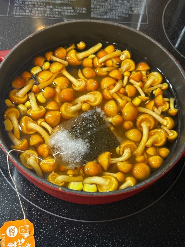 f:id:Magnoliarida:20230912072643j:image