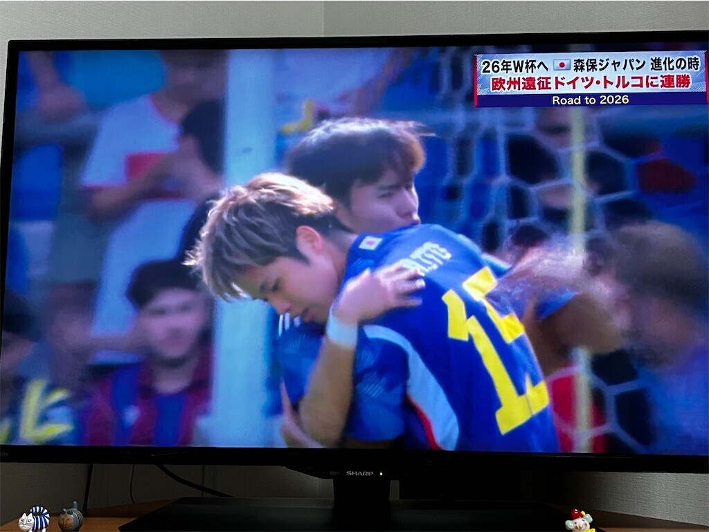 f:id:Magnoliarida:20230912232641j:image f:id:Magnoliarida:20230912232641j:image