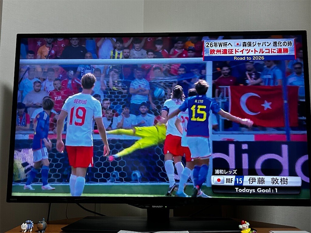 f:id:Magnoliarida:20230912232644j:image f:id:Magnoliarida:20230912232644j:image