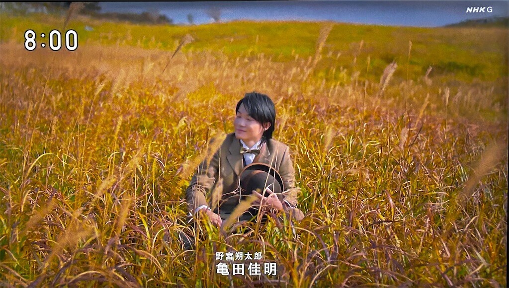 f:id:Magnoliarida:20230913204057j:image