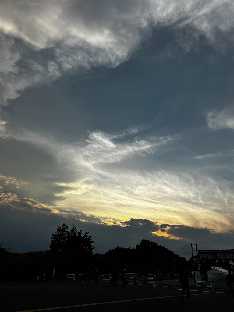 f:id:Magnoliarida:20230916054424j:image f:id:Magnoliarida:20230916054424j:image