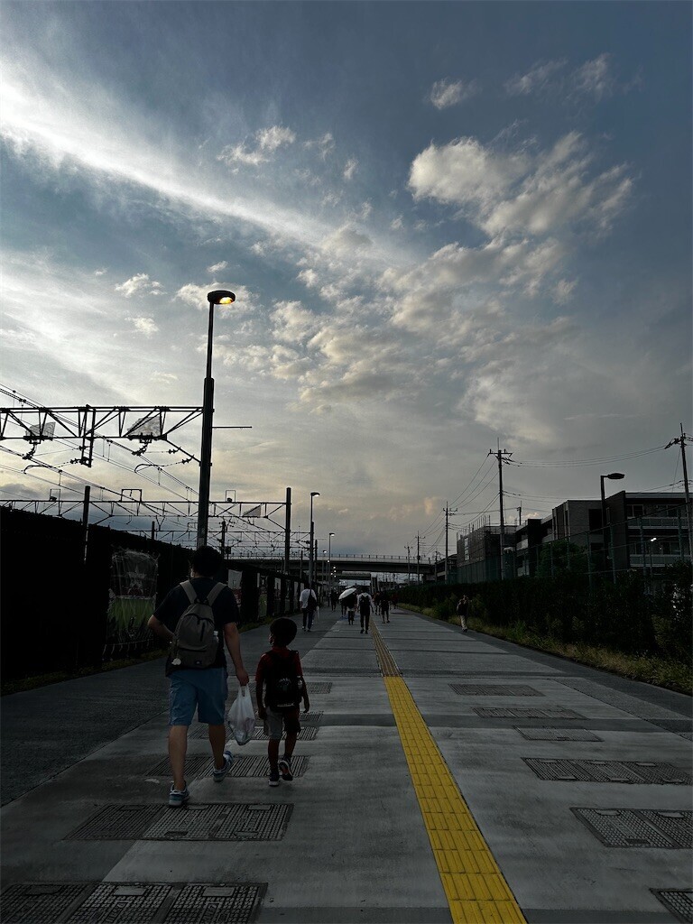 f:id:Magnoliarida:20230916054427j:image f:id:Magnoliarida:20230916054427j:image