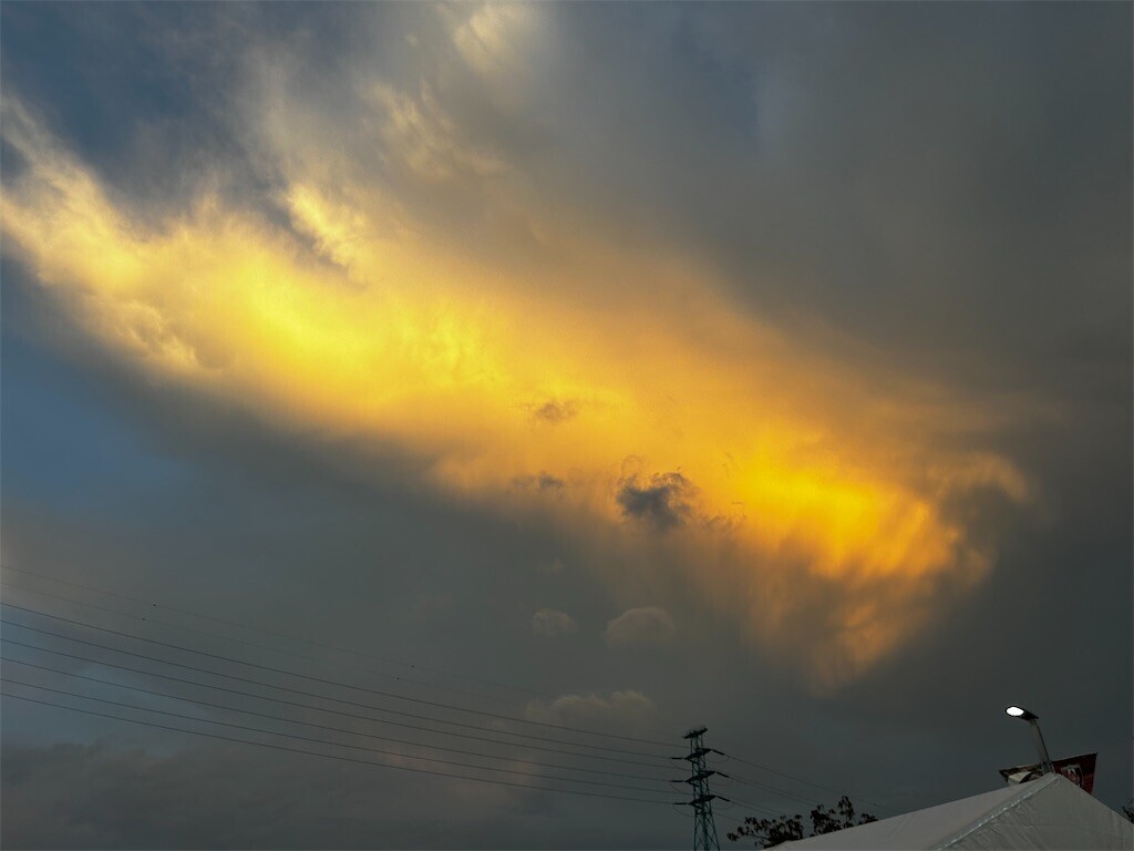 f:id:Magnoliarida:20230916081033j:image f:id:Magnoliarida:20230916081033j:image