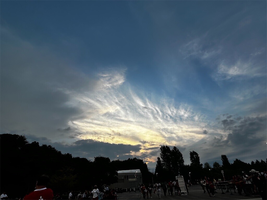 f:id:Magnoliarida:20230916081039j:image f:id:Magnoliarida:20230916081039j:image