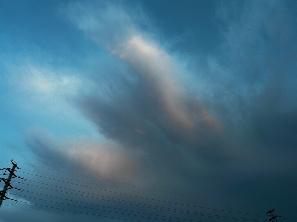 f:id:Magnoliarida:20230916081050j:image f:id:Magnoliarida:20230916081050j:image