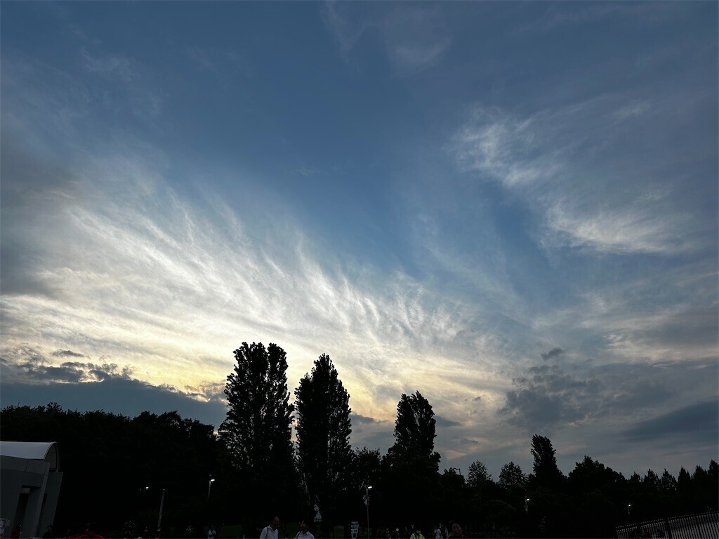 f:id:Magnoliarida:20230916081103j:image f:id:Magnoliarida:20230916081103j:image