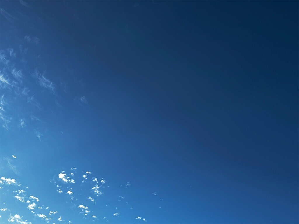 f:id:Magnoliarida:20231003071732j:image f:id:Magnoliarida:20231003071732j:image