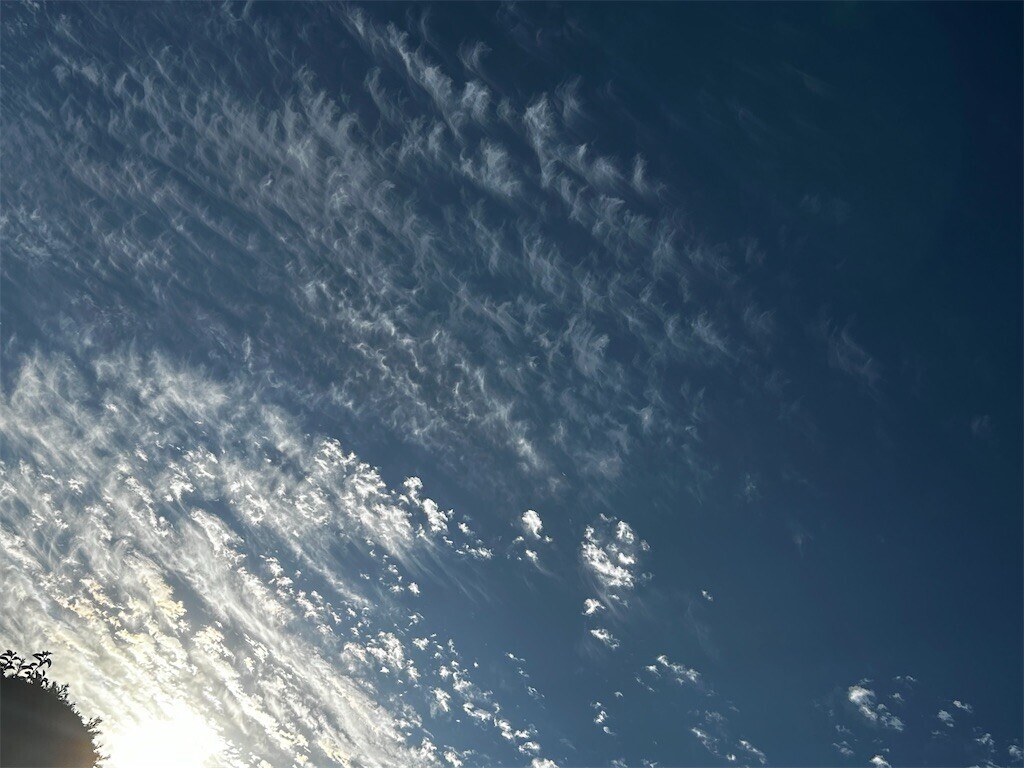 f:id:Magnoliarida:20231003071735j:image f:id:Magnoliarida:20231003071735j:image