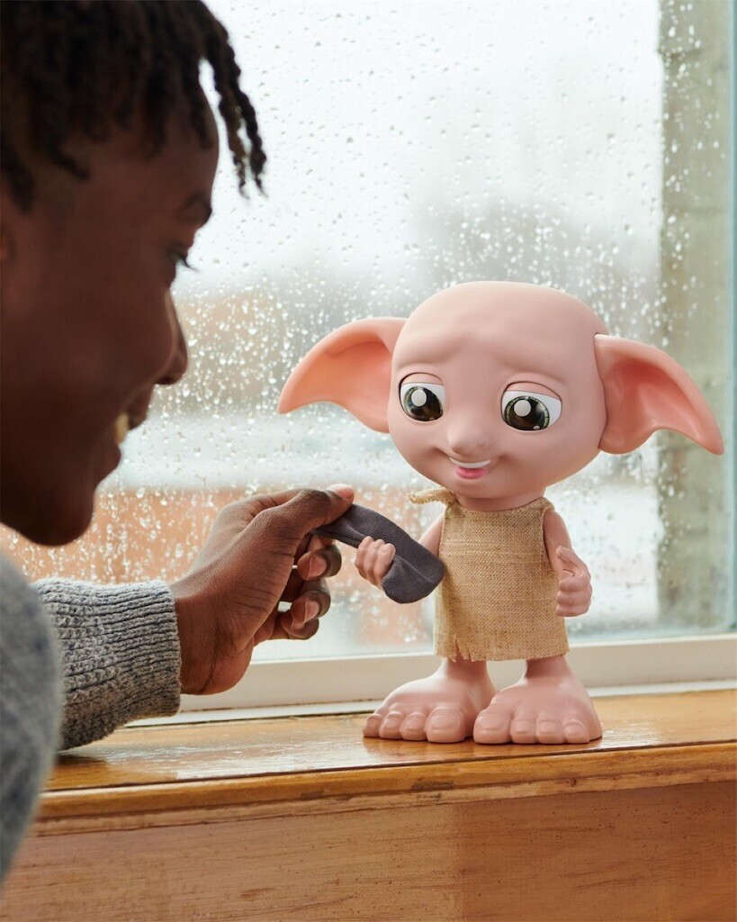 f:id:Magnoliarida:20231003073301j:image f:id:Magnoliarida:20231003073301j:image