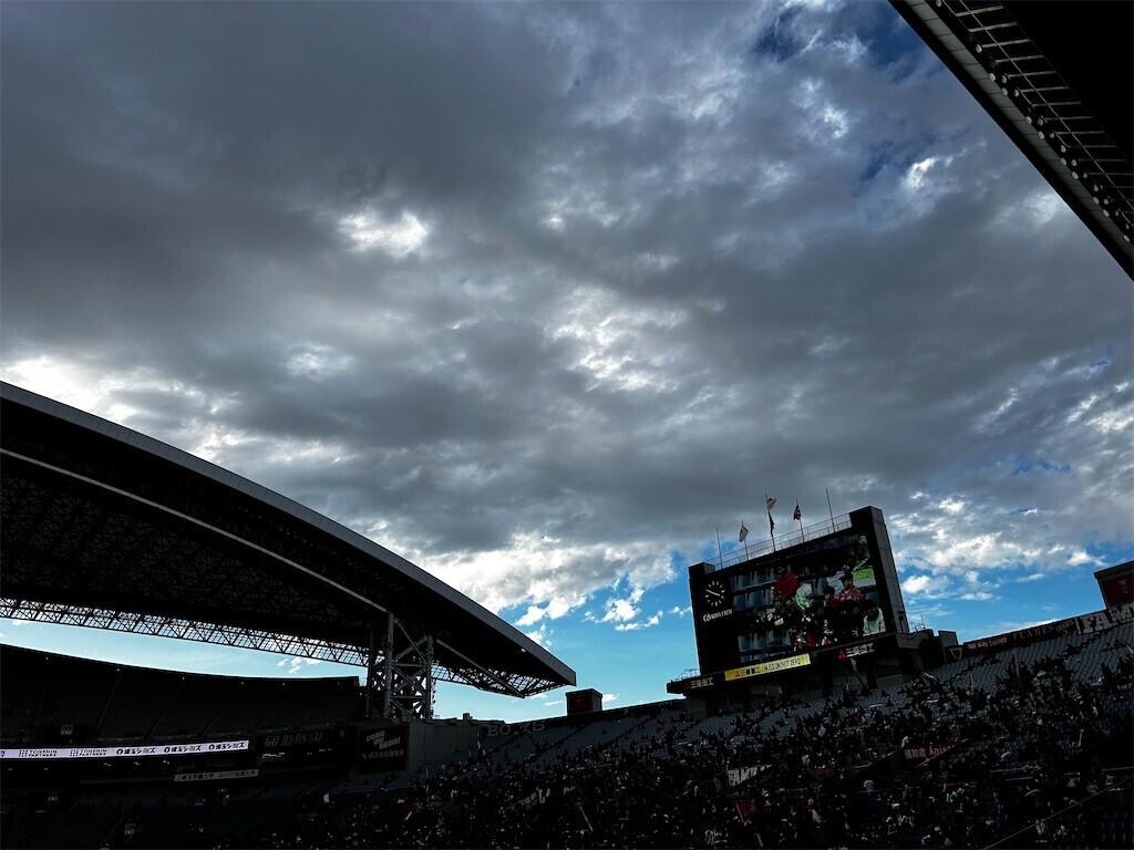 f:id:Magnoliarida:20231015205905j:image