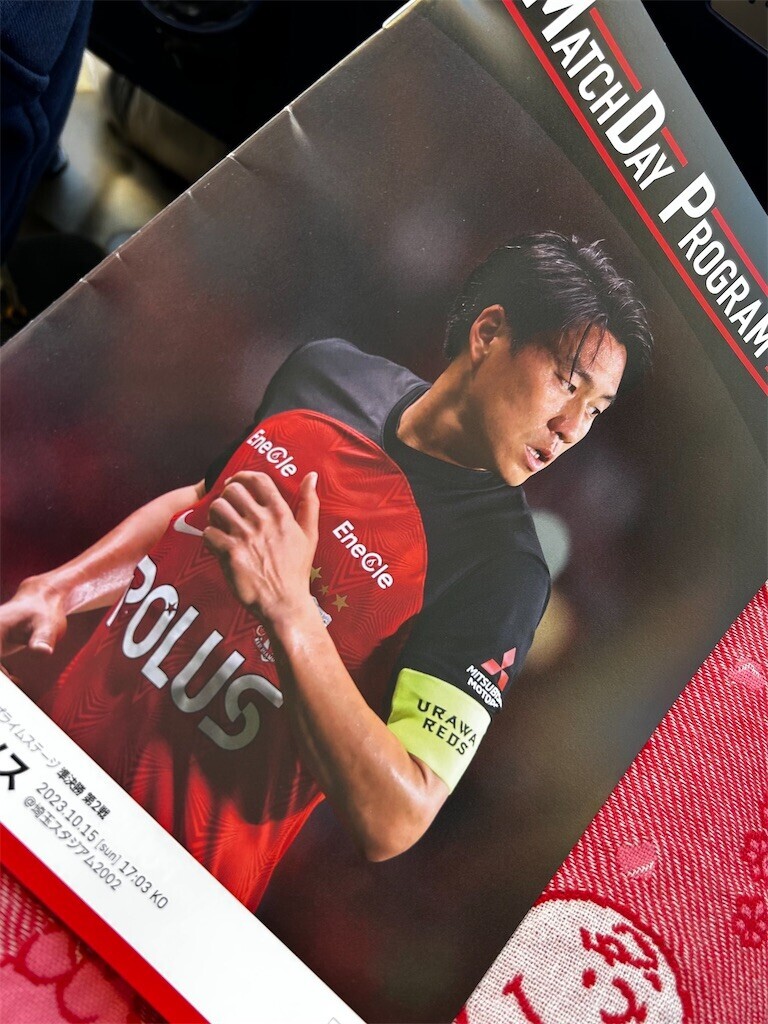 f:id:Magnoliarida:20231015210028j:image