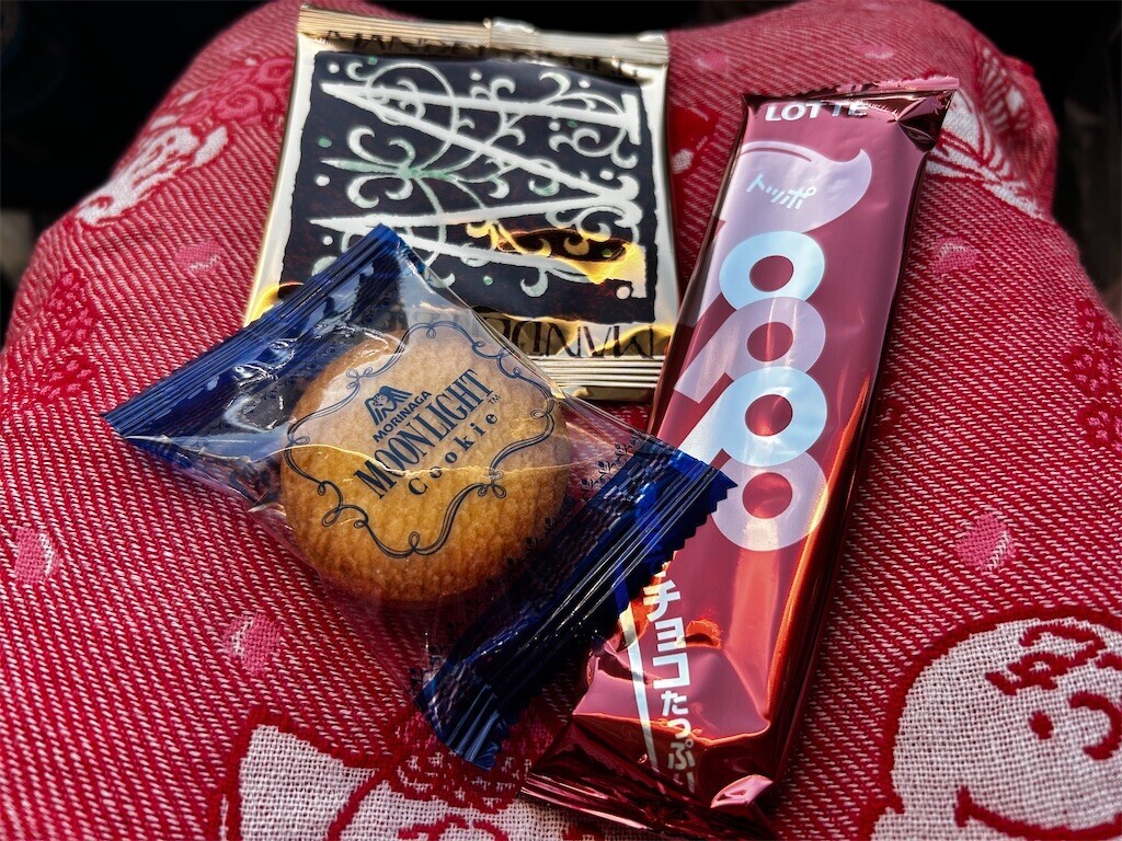 f:id:Magnoliarida:20231015210031j:image