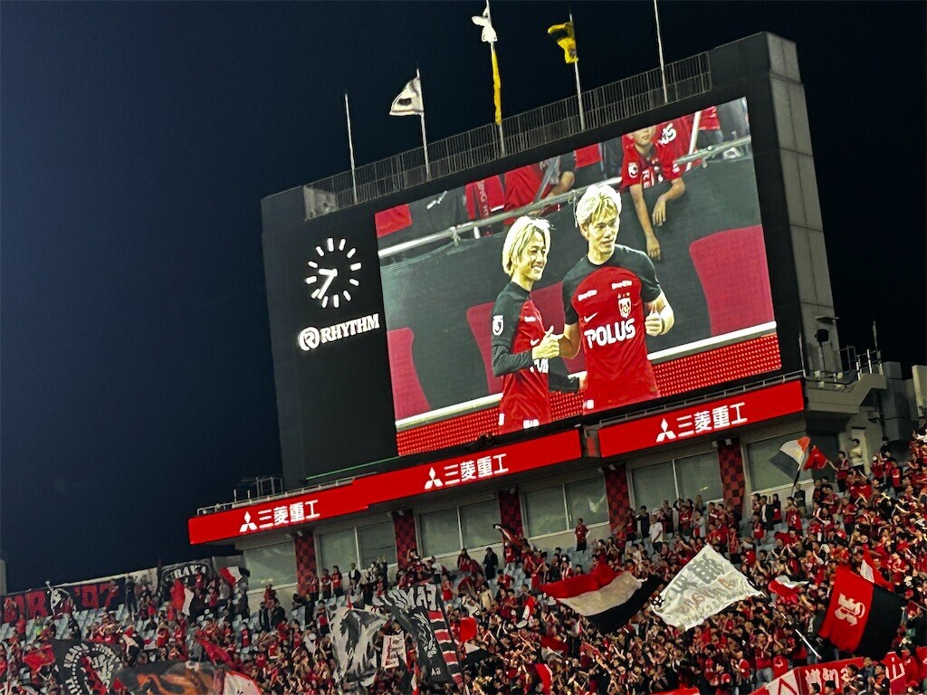 f:id:Magnoliarida:20231020234152j:image f:id:Magnoliarida:20231020234152j:image