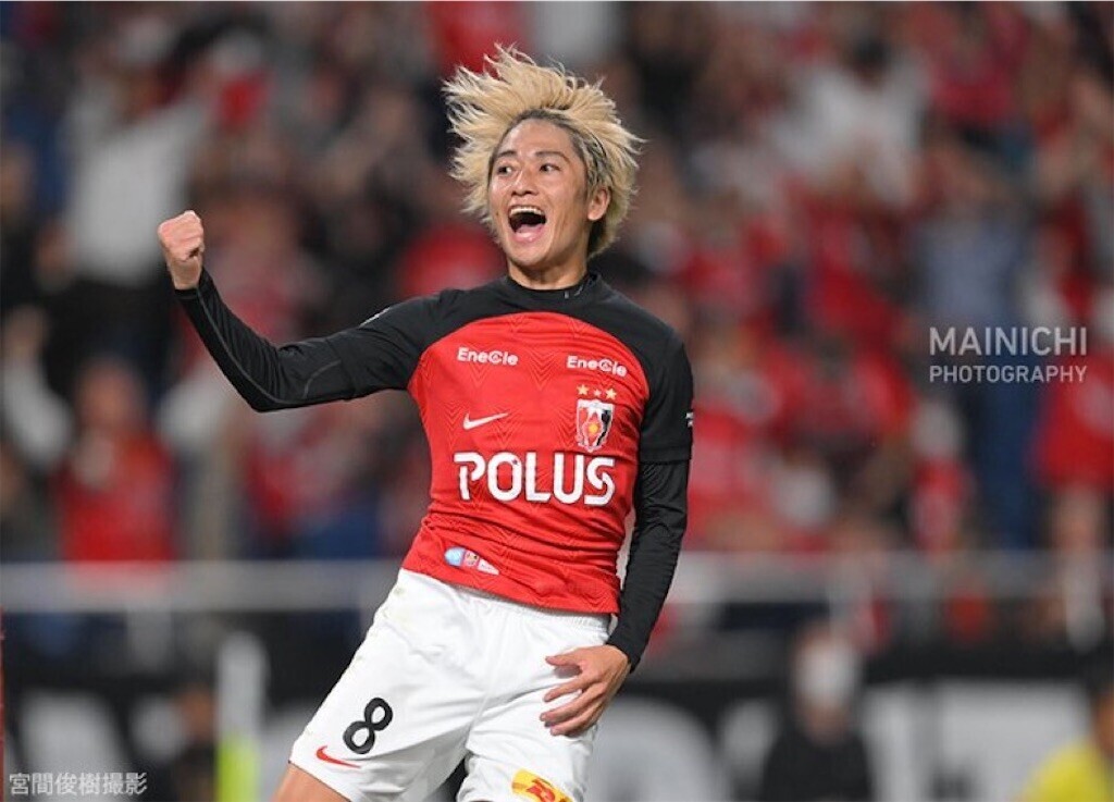 f:id:Magnoliarida:20231020235637j:image f:id:Magnoliarida:20231020235637j:image