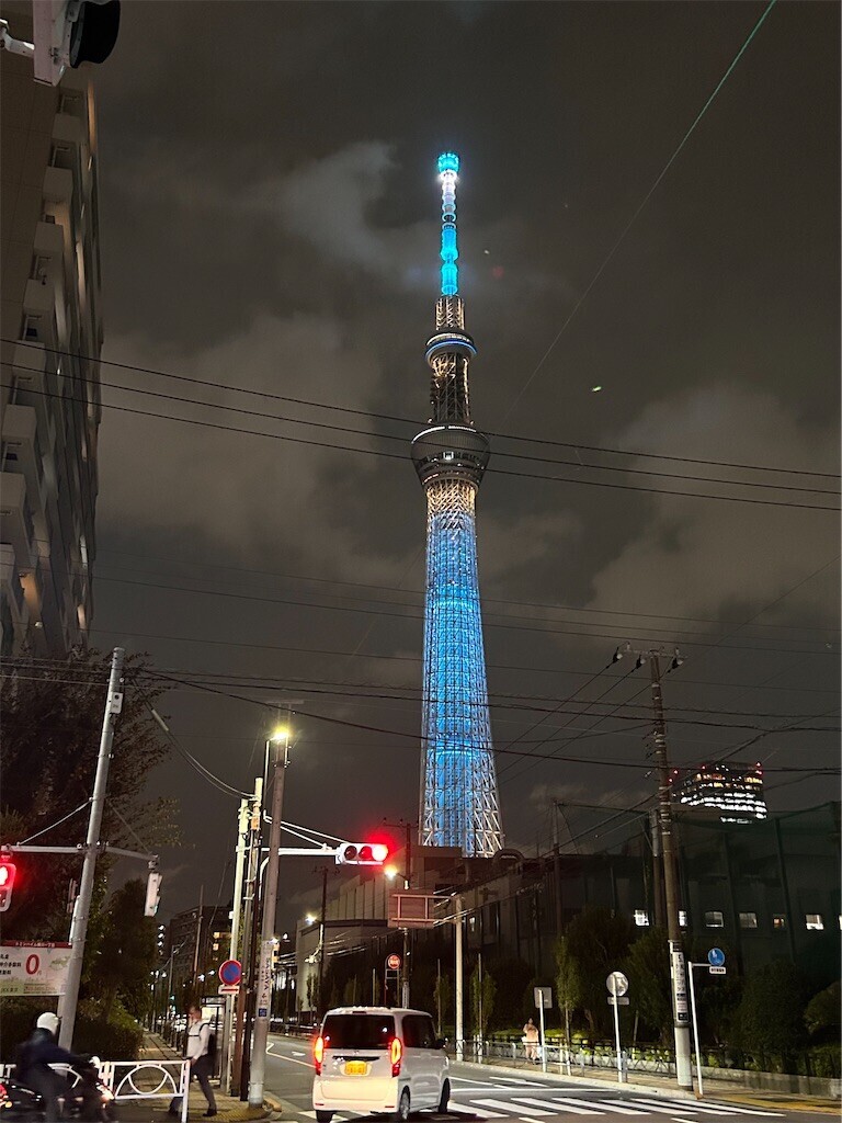 f:id:Magnoliarida:20231107072634j:image f:id:Magnoliarida:20231107072634j:image