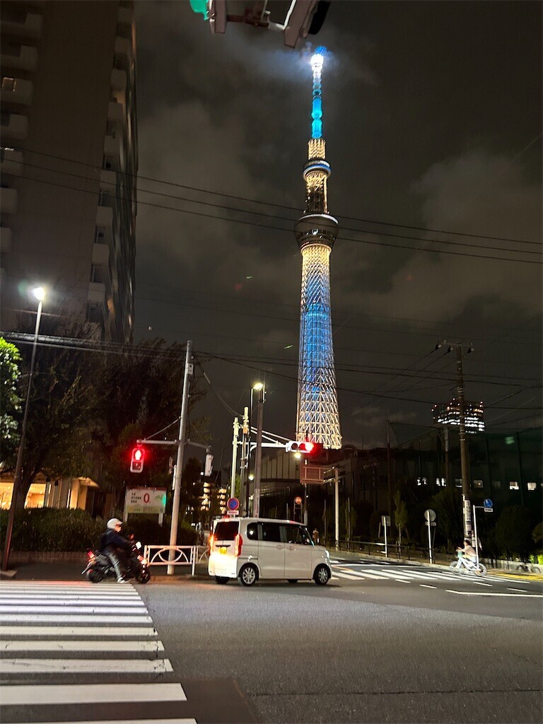 f:id:Magnoliarida:20231107072638j:image f:id:Magnoliarida:20231107072638j:image