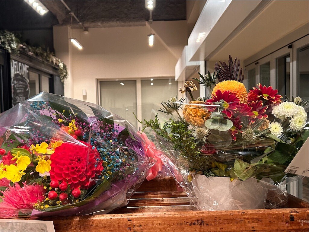 f:id:Magnoliarida:20231107143146j:image f:id:Magnoliarida:20231107143146j:image