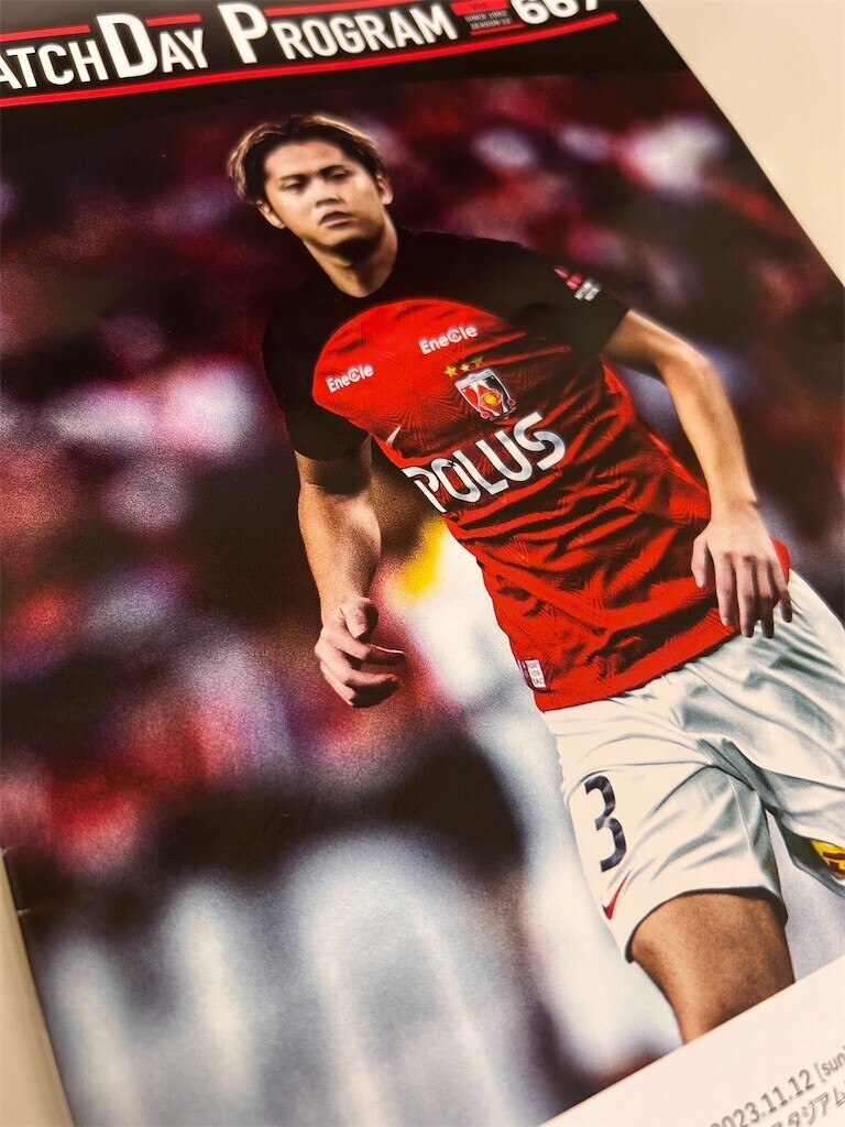 f:id:Magnoliarida:20231113175659j:image