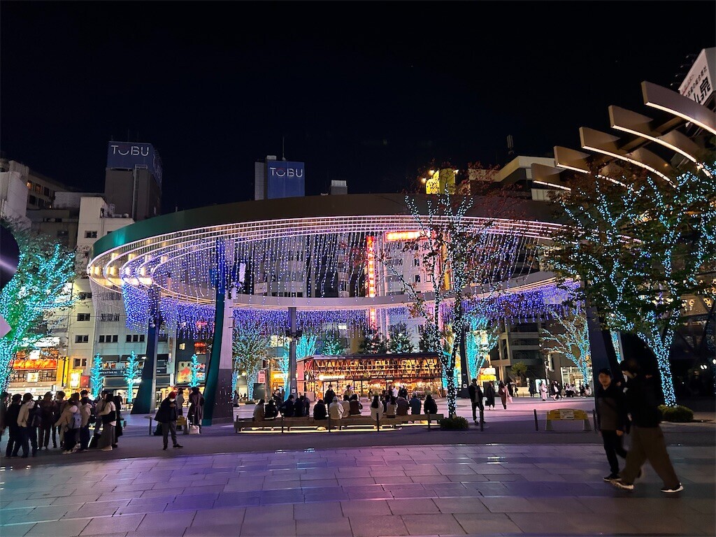 f:id:Magnoliarida:20231122073224j:image