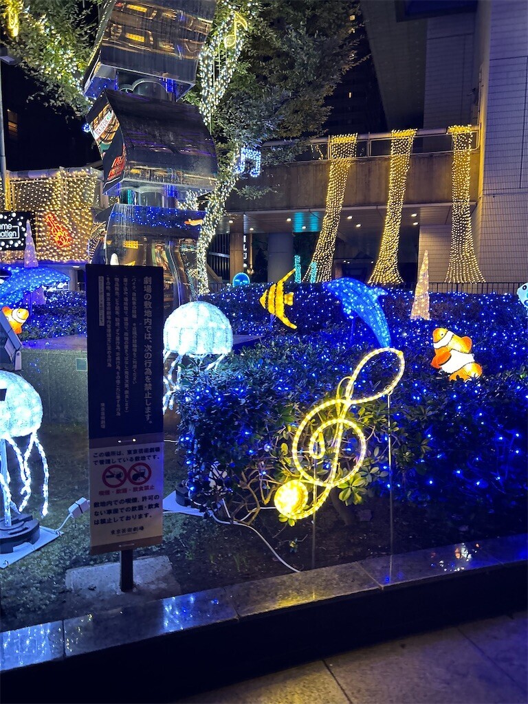 f:id:Magnoliarida:20231122074019j:image