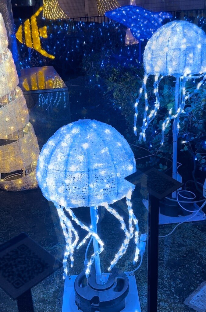 f:id:Magnoliarida:20231122074022j:image