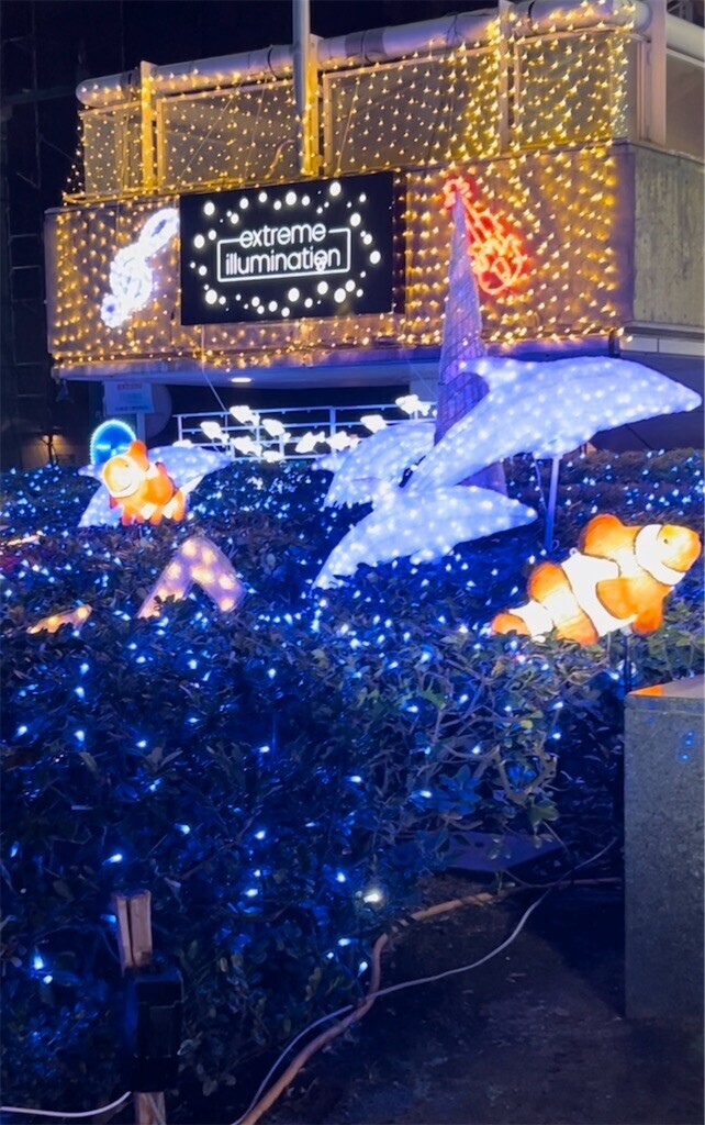 f:id:Magnoliarida:20231122074048j:image