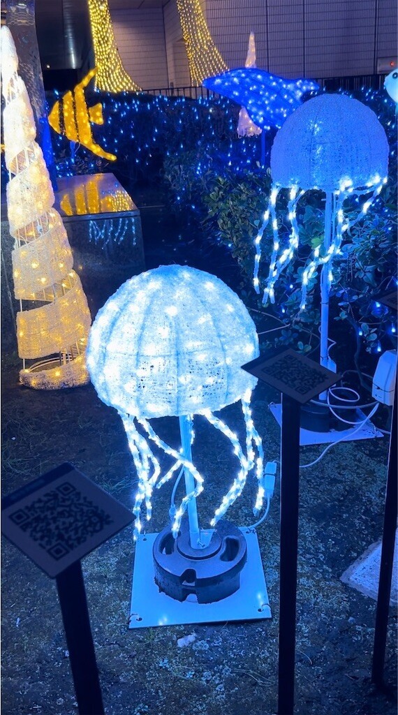 f:id:Magnoliarida:20231122074346j:image