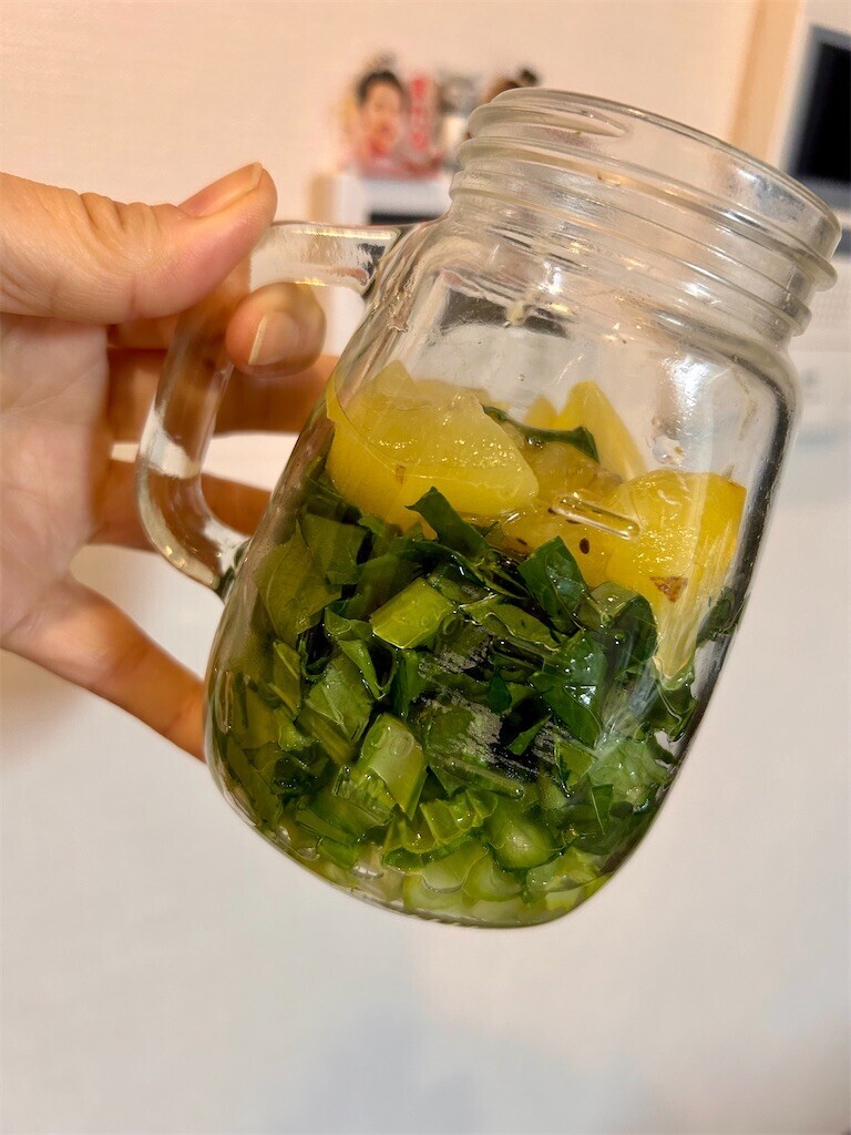 f:id:Magnoliarida:20231129083057j:image