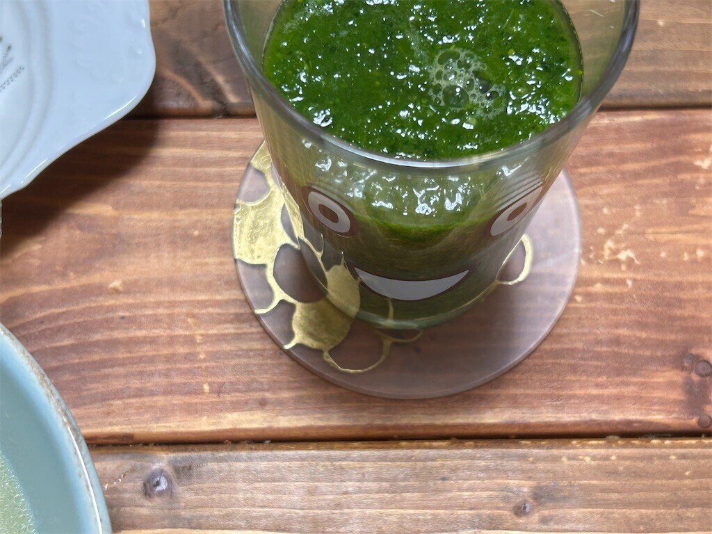 f:id:Magnoliarida:20231129091707j:image