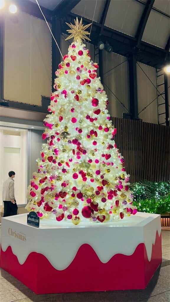 f:id:Magnoliarida:20231203104628j:image