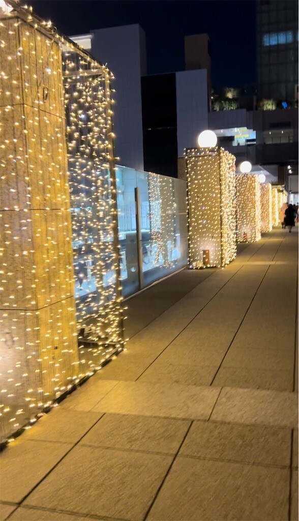 f:id:Magnoliarida:20231203104952j:image