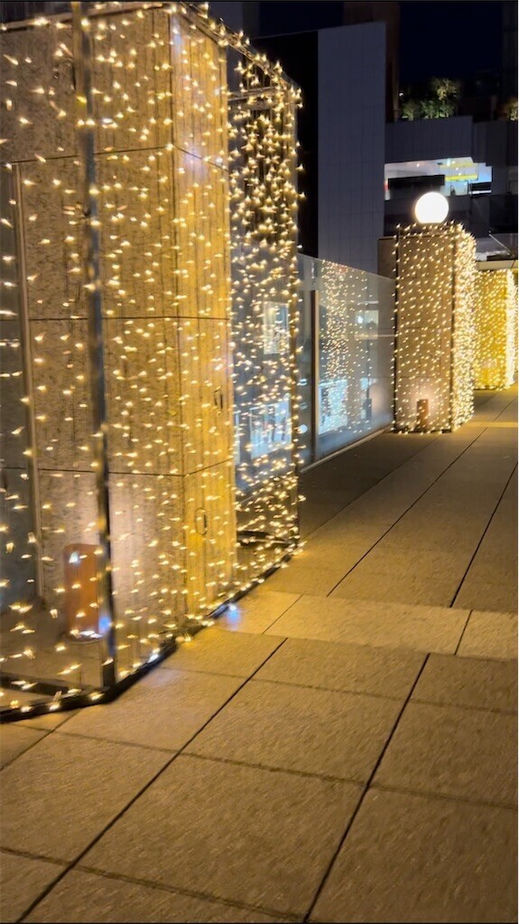 f:id:Magnoliarida:20231203104955j:image