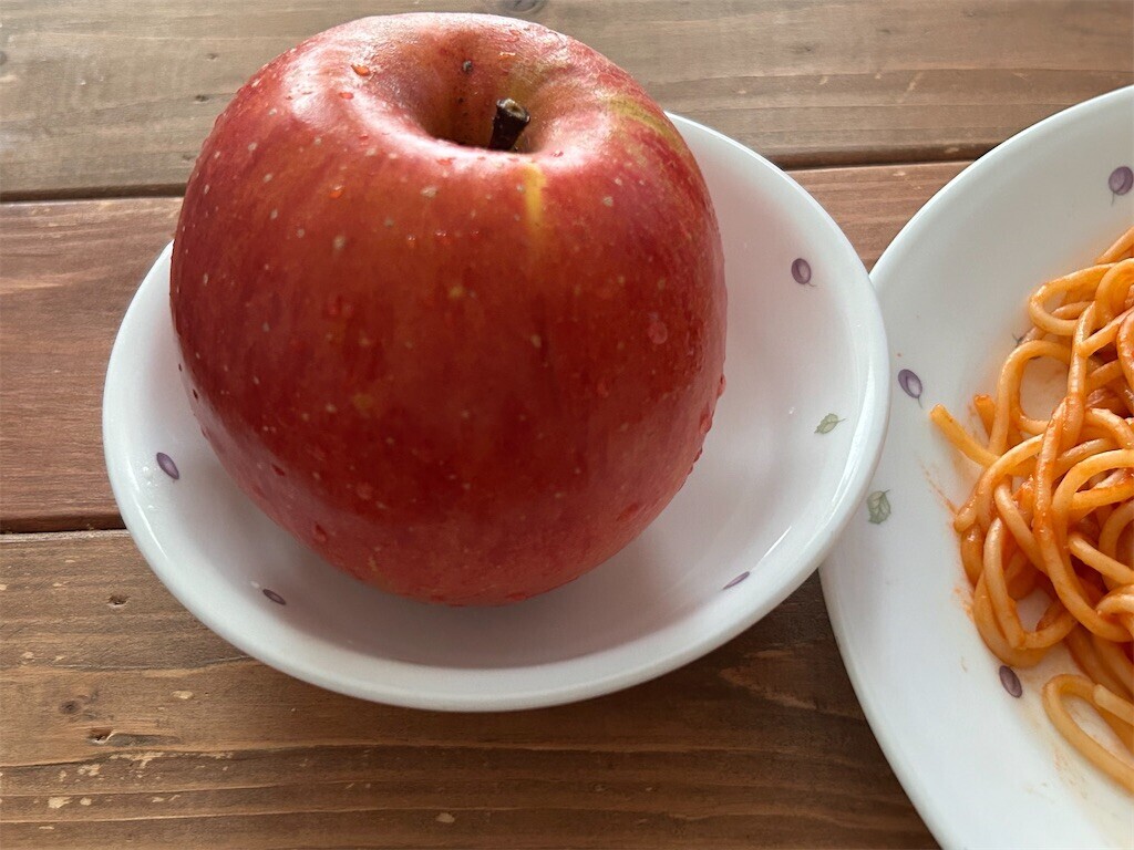 f:id:Magnoliarida:20231207074443j:image