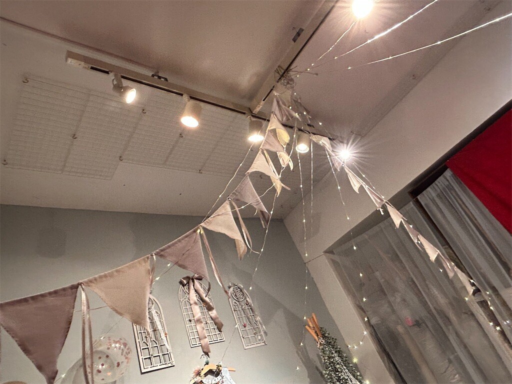 f:id:Magnoliarida:20231211101411j:image