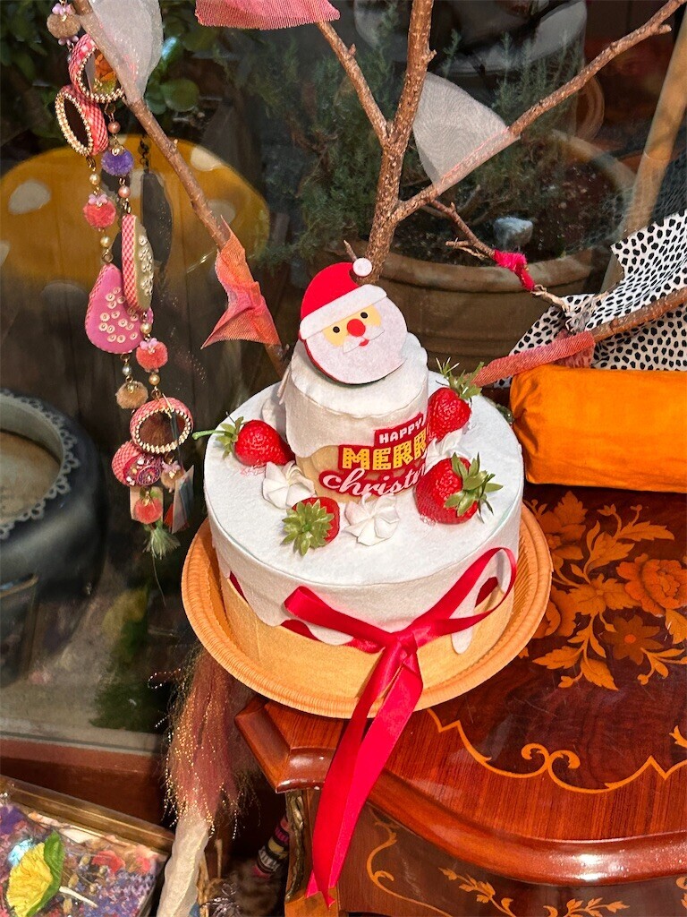 f:id:Magnoliarida:20231211101557j:image