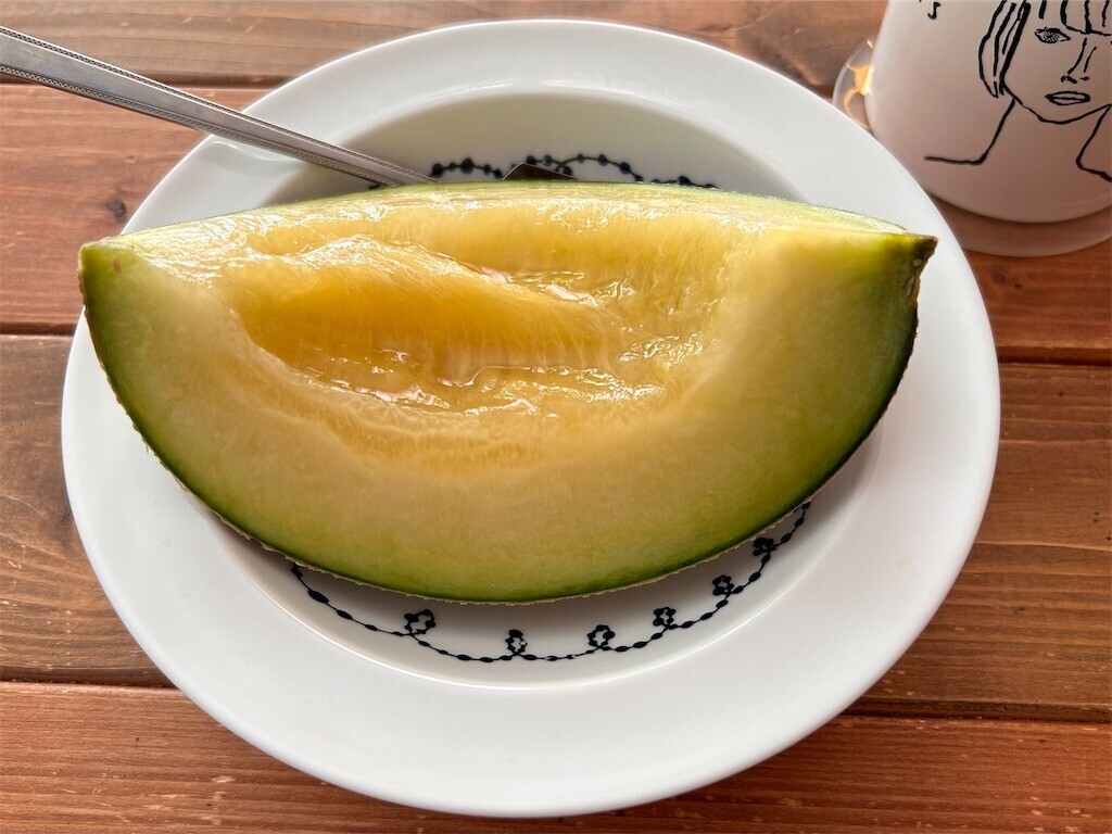 f:id:Magnoliarida:20231217105038j:image f:id:Magnoliarida:20231217105038j:image