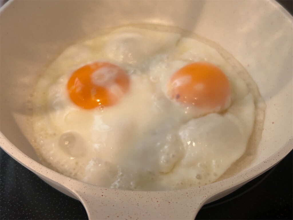 f:id:Magnoliarida:20231217105045j:image f:id:Magnoliarida:20231217105045j:image