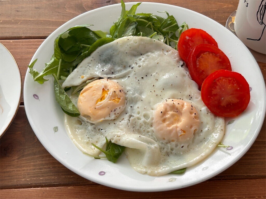 f:id:Magnoliarida:20231217105057j:image f:id:Magnoliarida:20231217105057j:image