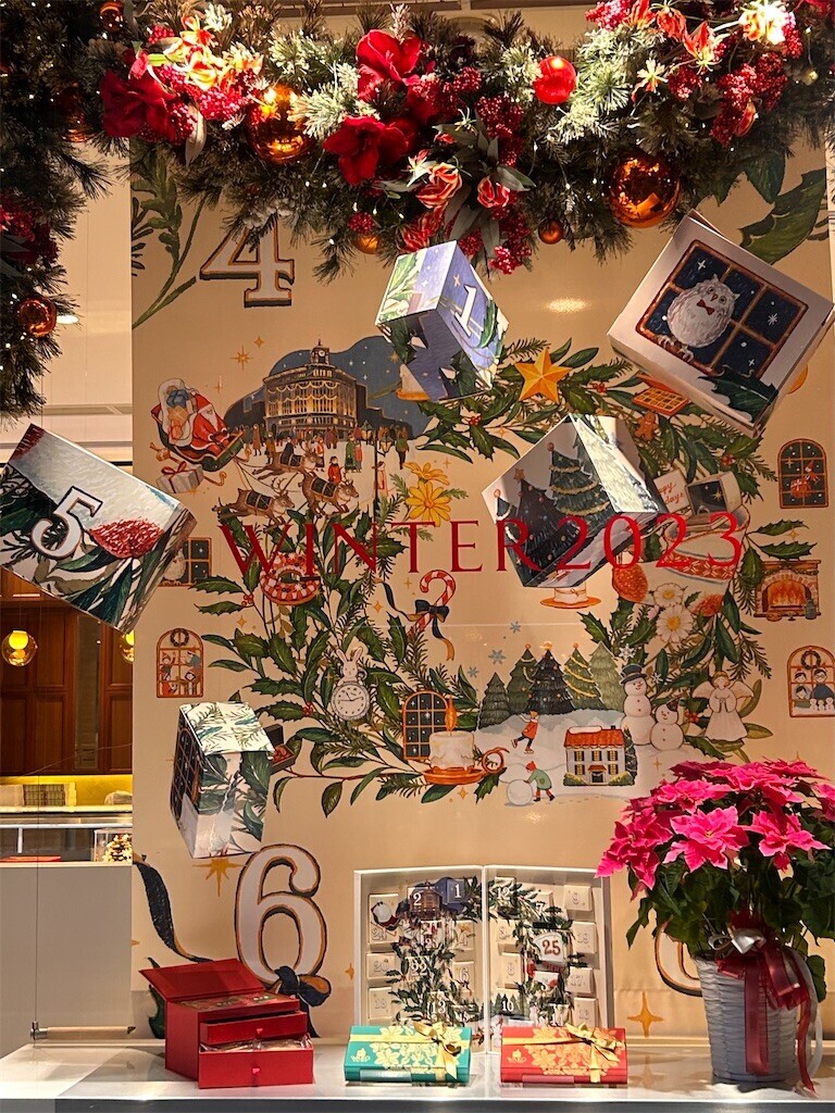 f:id:Magnoliarida:20231217235656j:image