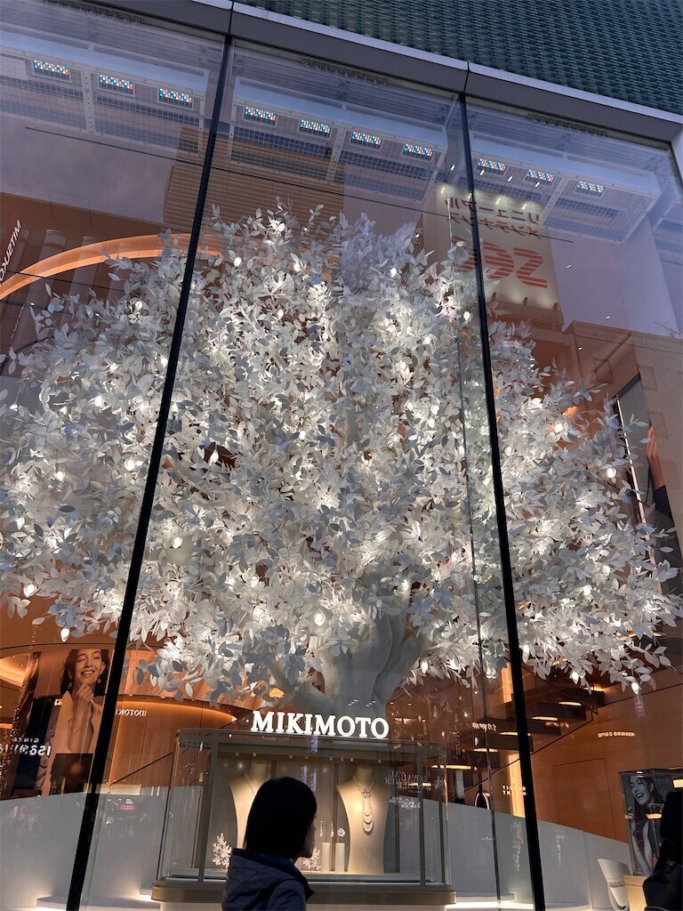 f:id:Magnoliarida:20231218000003j:image